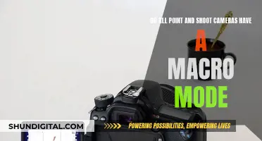 Point-and-Shoot Cameras: Do They All Have Macro Mode?