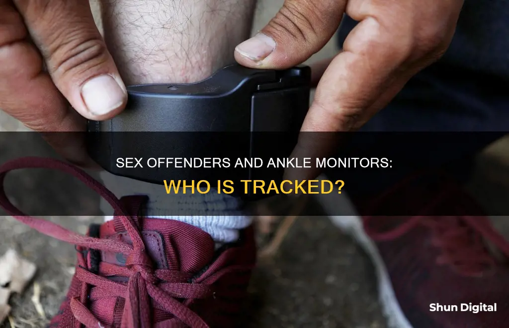 do all sex offenders have to wear ankle monitors