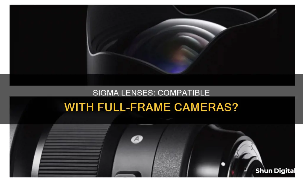 do all sigma lenses fit on full frame cameras