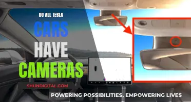 The Camera Conundrum: Do All Tesla Cars Have Cameras?