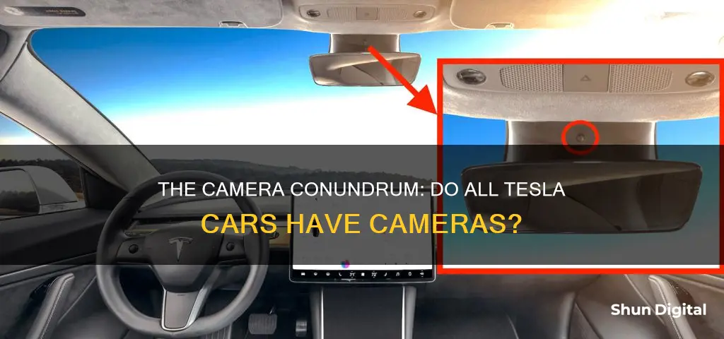 do all tesla cars have cameras