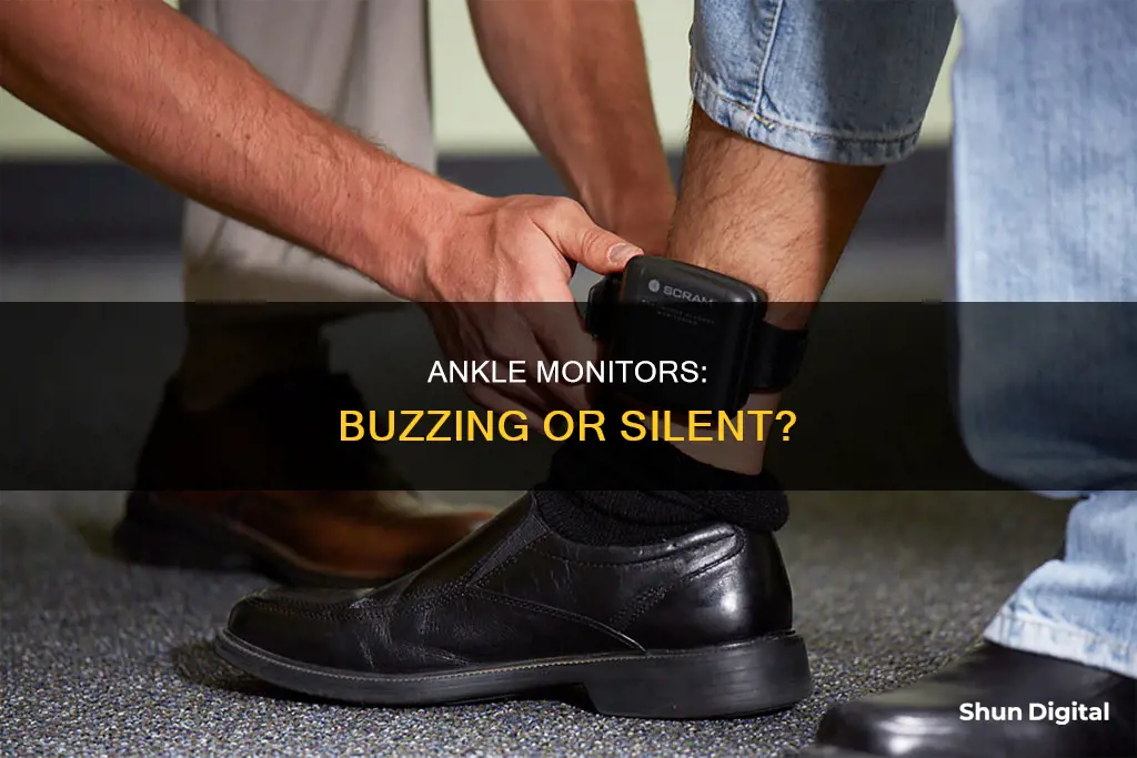 do ankle monitors buzz