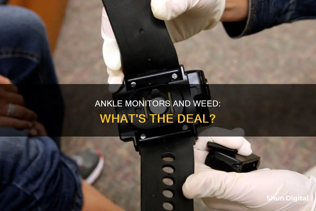 do ankle monitors detect weed