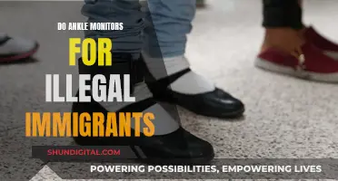 Ankle Monitors: Effective Solution or Costly Immigration Control?