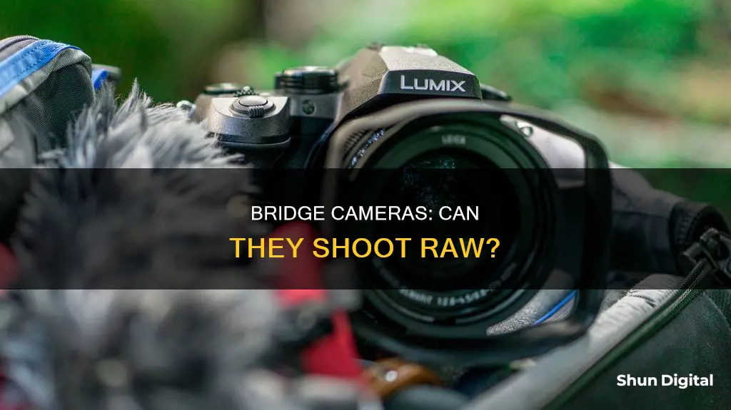 do any bridge cameras shoot raw format