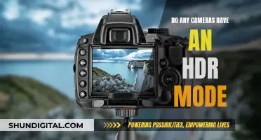 HDR Photography: Cameras with Built-In HDR Mode