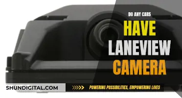 Lane-View Cameras: Which Cars Have This Feature?