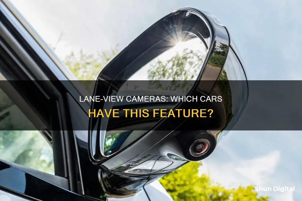 do any cars have laneview camera