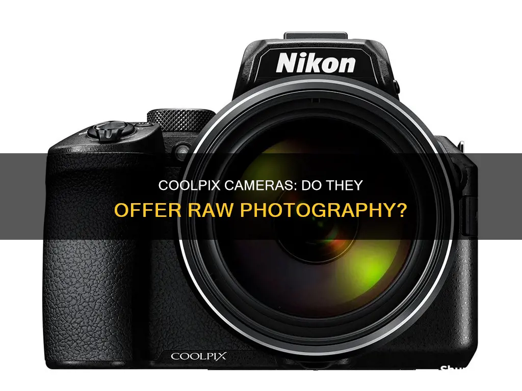 do any coolpix cameras have raw system