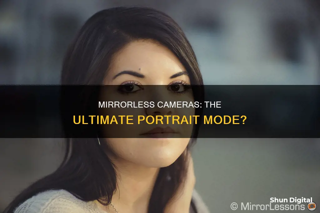 do any mirrorless cameras offer portrait mode