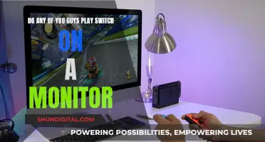 Switch on a Monitor: Is It Worth It?