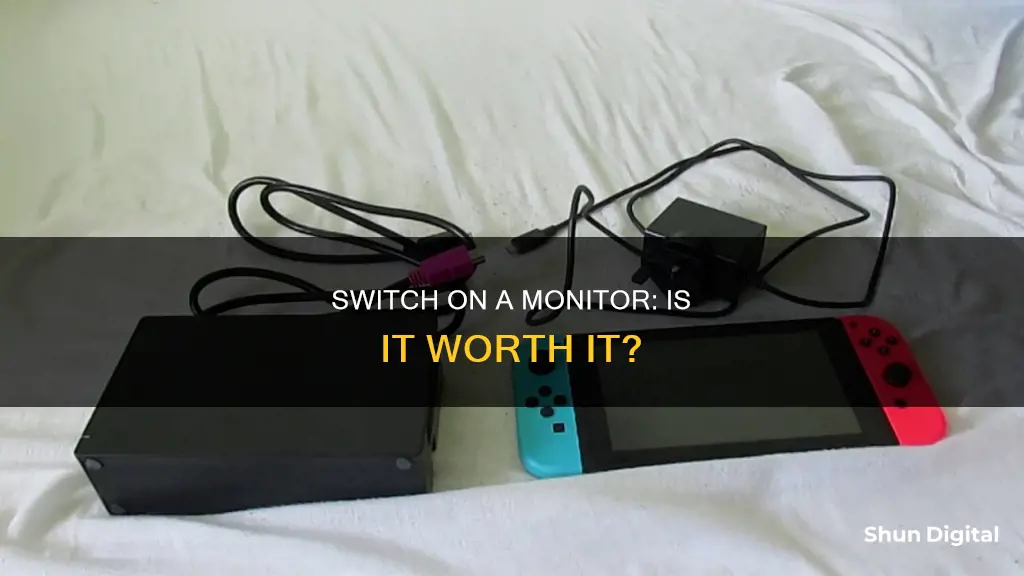 do any of you guys play switch on a monitor