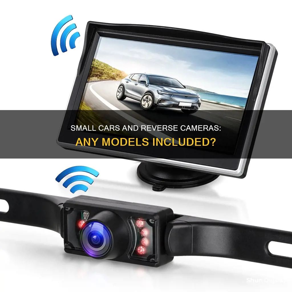 do any small cars have reverse cameras