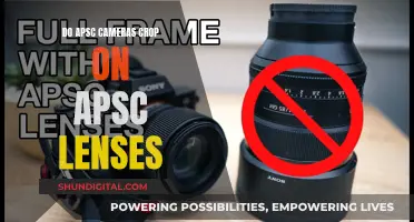 Understanding APS-C Camera and Lens Cropping: What's the Difference?