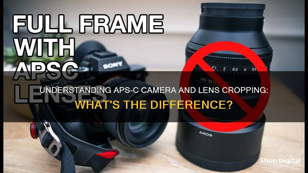 do apsc cameras crop on apsc lenses