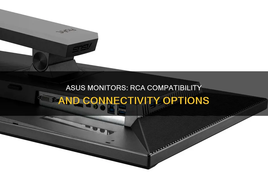 do asus monitors have rca