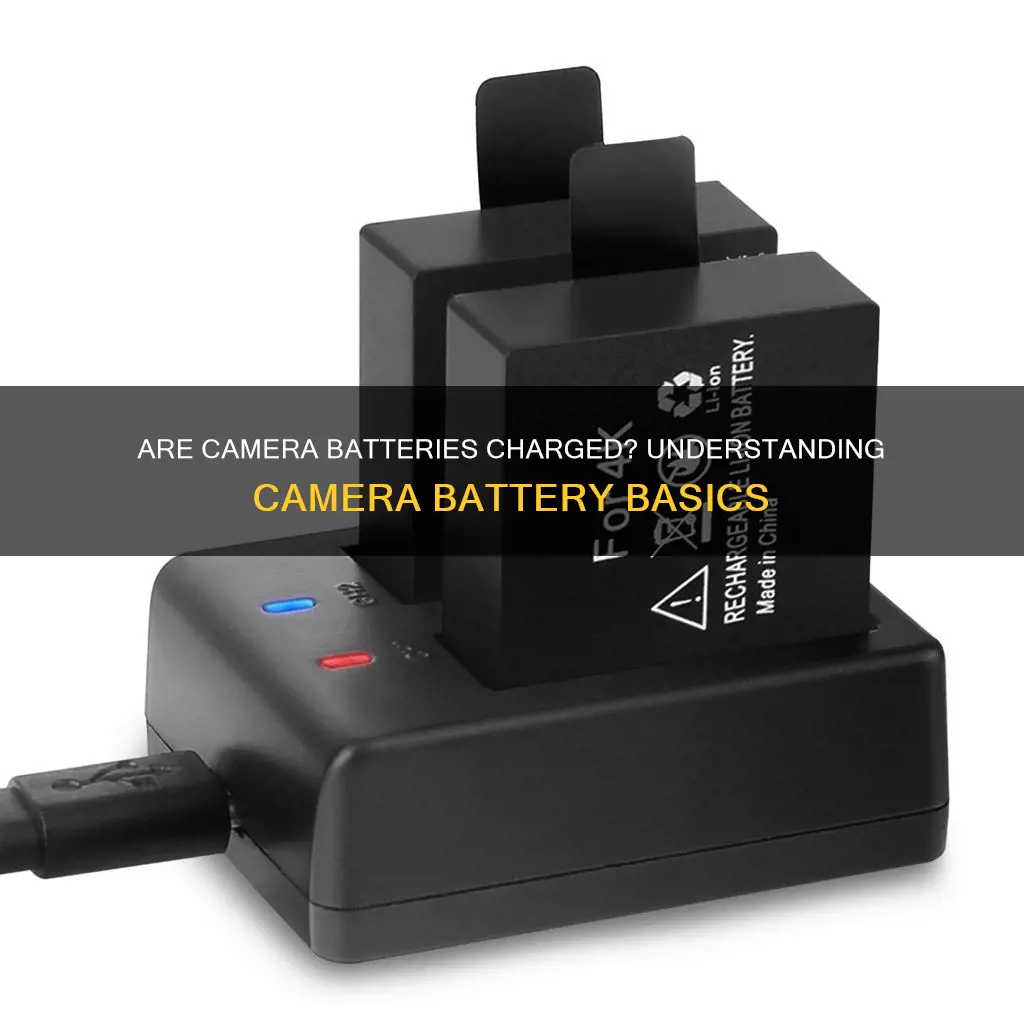 do batteries come charged camera