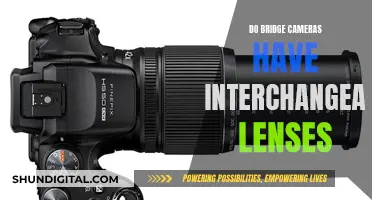 Bridge Cameras: Interchangeable Lenses and Their Limitations