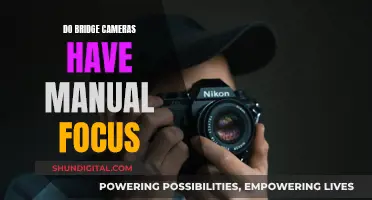 Bridge Cameras: Manual Focus Control for Creative Photography