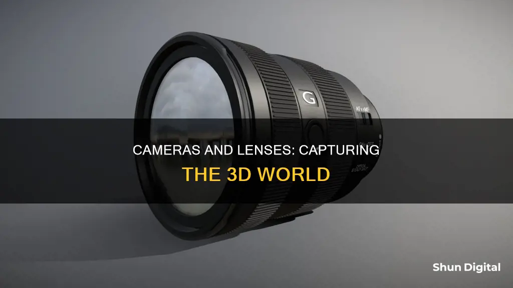 do camera and lenses see in 3d