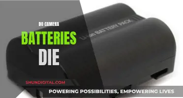 Camera Batteries: Do They Die?