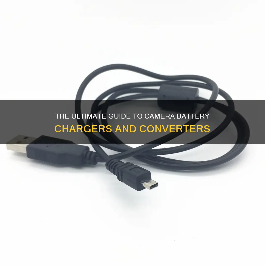 do camera battery charges have converters