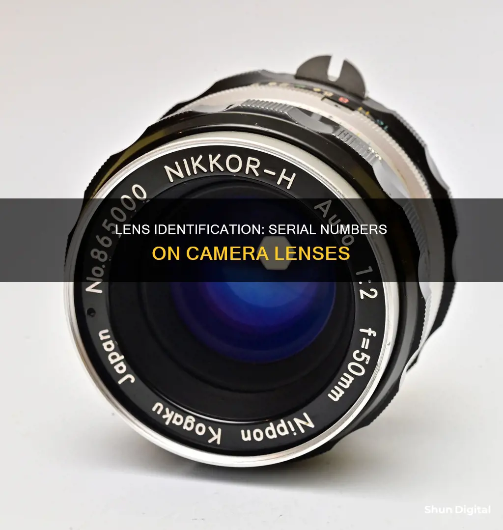 do camera lenses have serial numbers