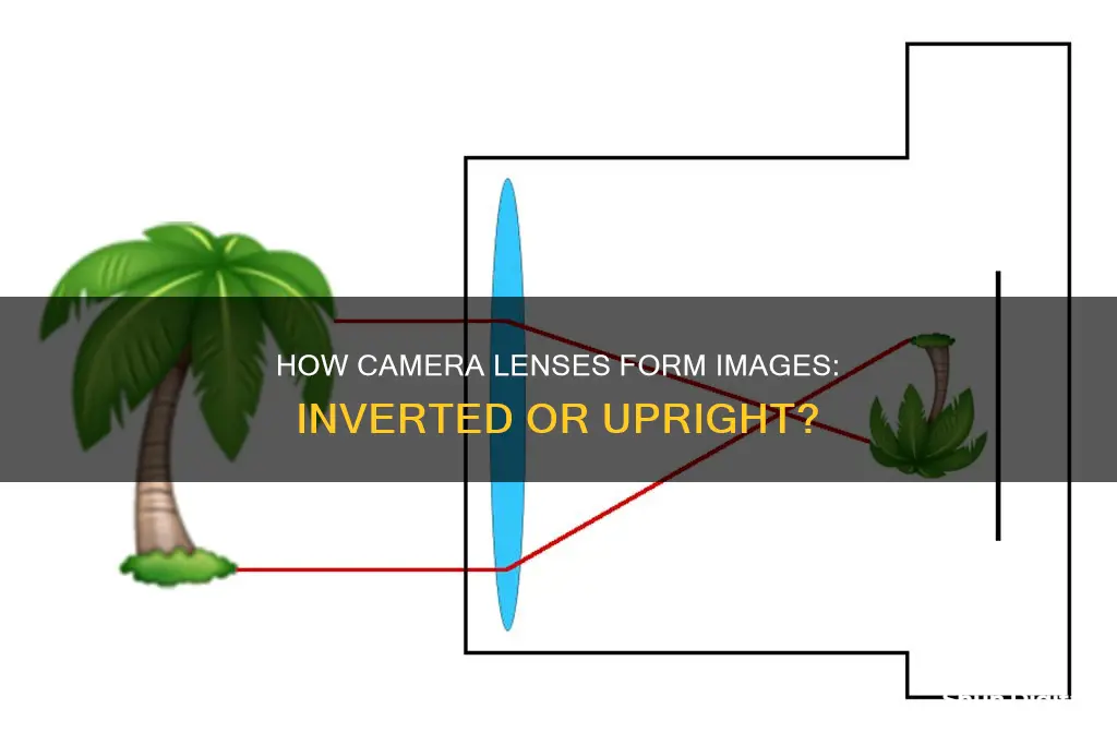 do camera lenses invert the image