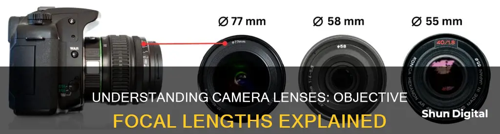 do camera lenses state objective les size