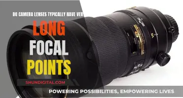 Understanding Camera Lenses: Long Focal Points Explained