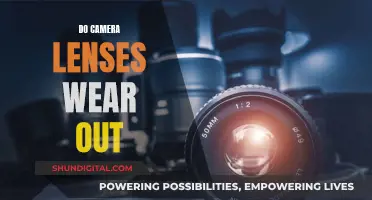 Do Camera Lenses Have an Expiry Date?