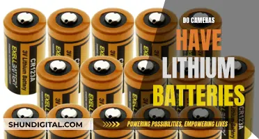 Lithium Batteries: Powering Your Camera, What You Need to Know