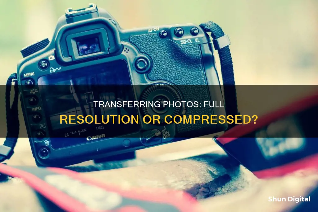 do cameras upload full resolution to computer