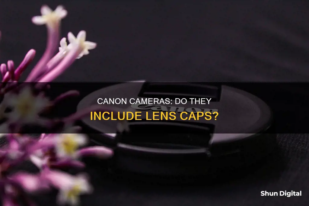 do cannon cameras come with lense caps