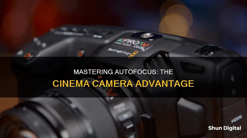 do cinema cameras auto focus