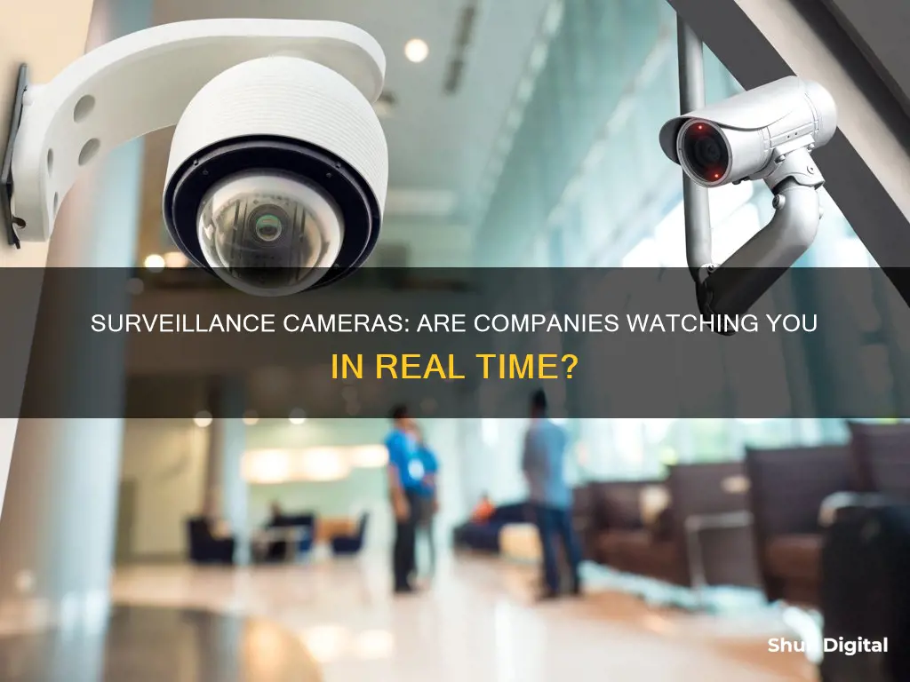 do companies actively monitor camera surveillance cameras