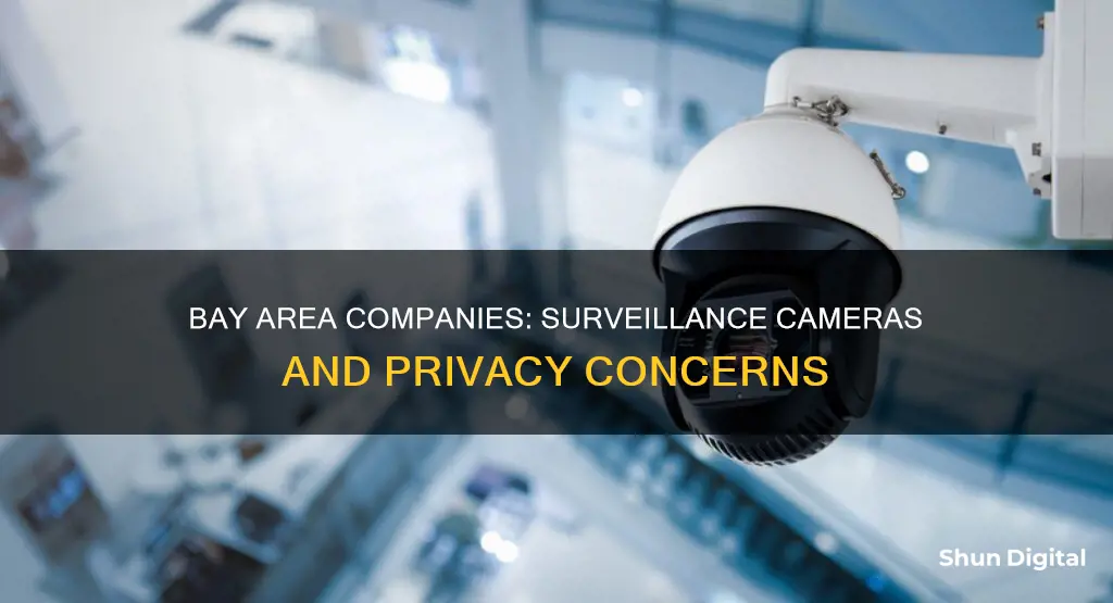 do companies in bay area actively monitor camera surveillance