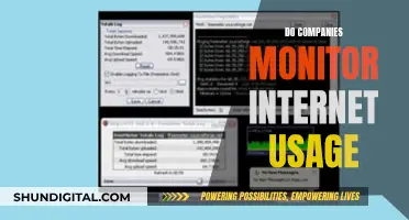 Monitoring Employee Internet Usage: Company Surveillance Exposed