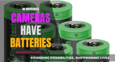 How Do Disposable Cameras Work Without Batteries?