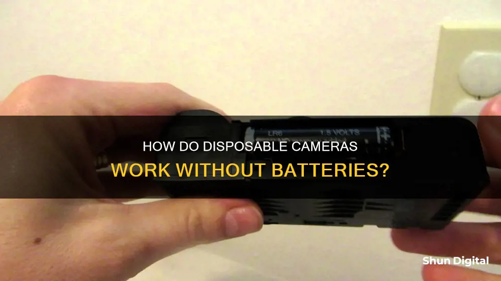 do disposable cameras have batteries