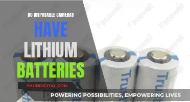 Lithium Batteries in Disposable Cameras: What's the Deal?