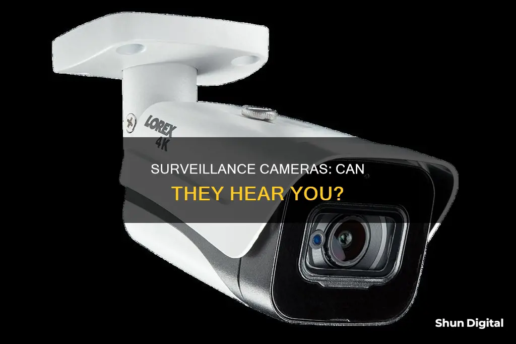 do dome surveillance cameras have audio