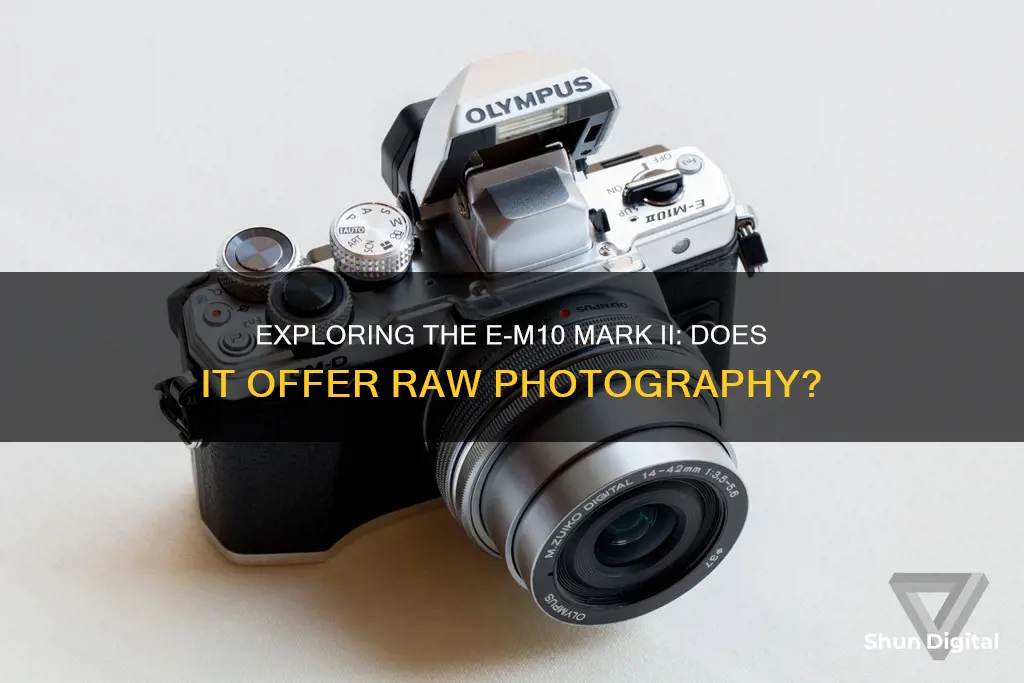 do e-m10 mark ii cameras have raw mode