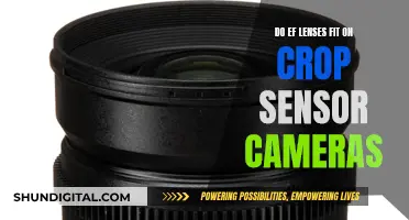 EF Lenses: Compatible with Crop Sensor Cameras?