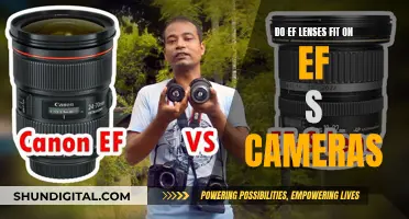 Lens Compatibility: EF-S Cameras and EF Lenses