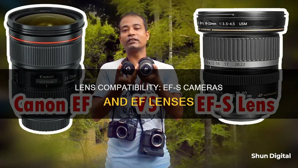 do ef lenses fit on ef s cameras