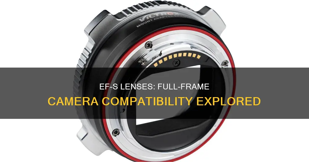 do ef s lenses fit full frame cameras