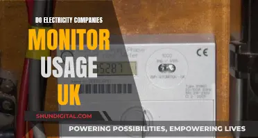 Electricity Usage Monitoring: What UK Energy Companies Can See