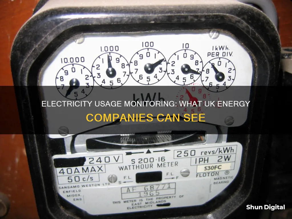 do electricity companies monitor usage uk