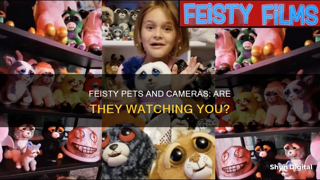 do feisty pets have cameras watch you